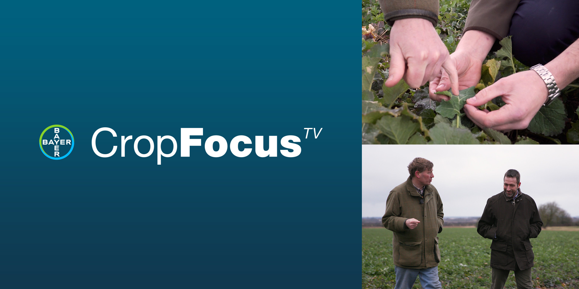 Agricultural expertise 